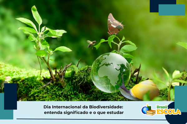 biodiversidade